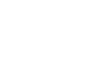 logo pajarlo colo